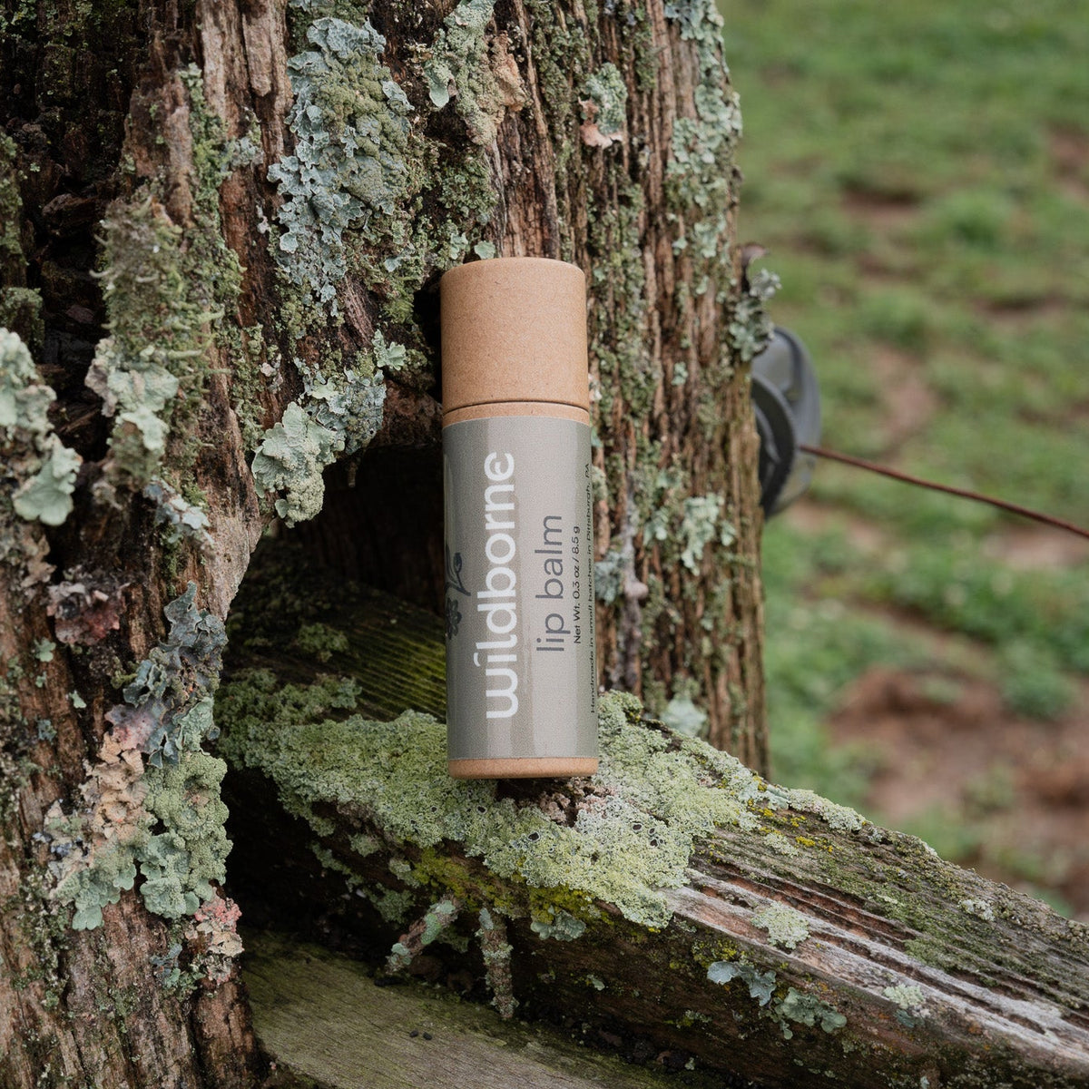 Lip Balm