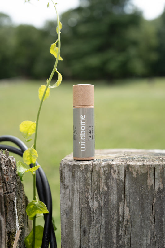 Lip Balm