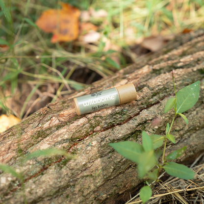 Lip Balm