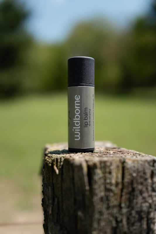 Lip Balm