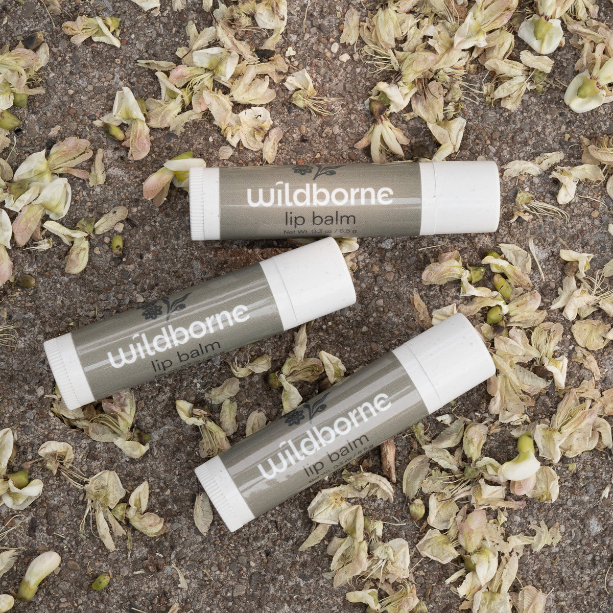 Lip Balm