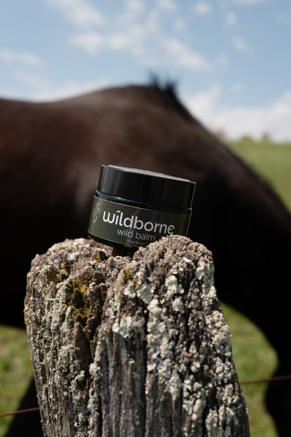 Wild Balm