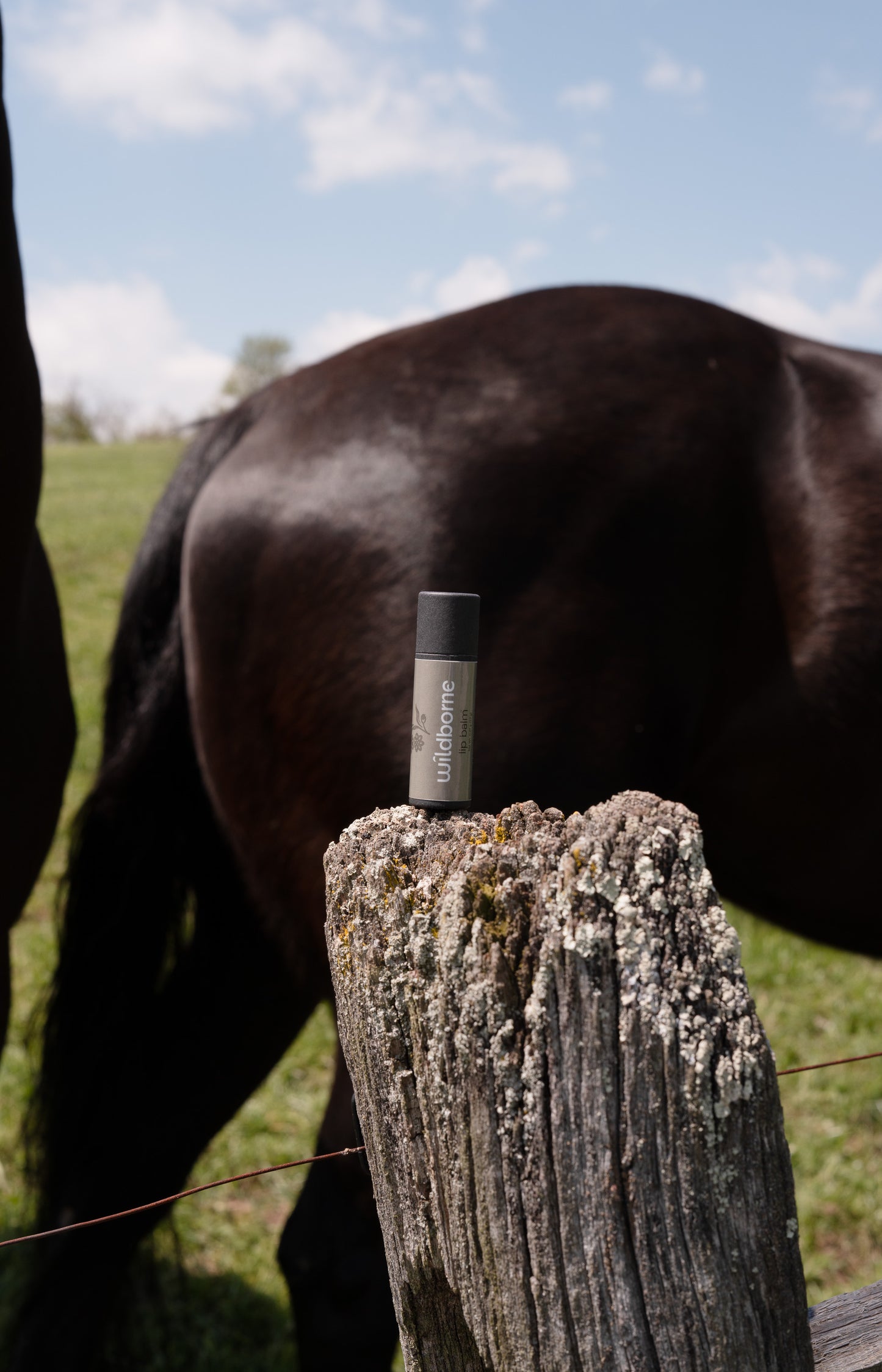 Lip Balm