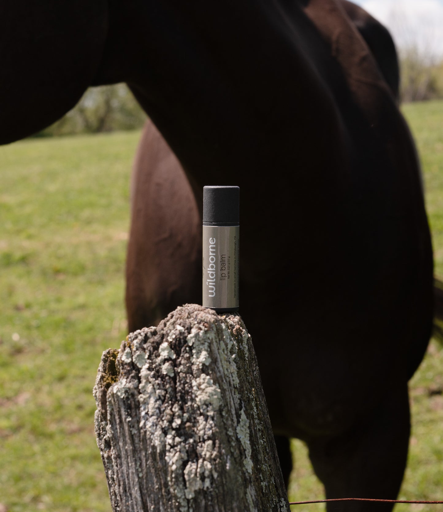 Lip Balm