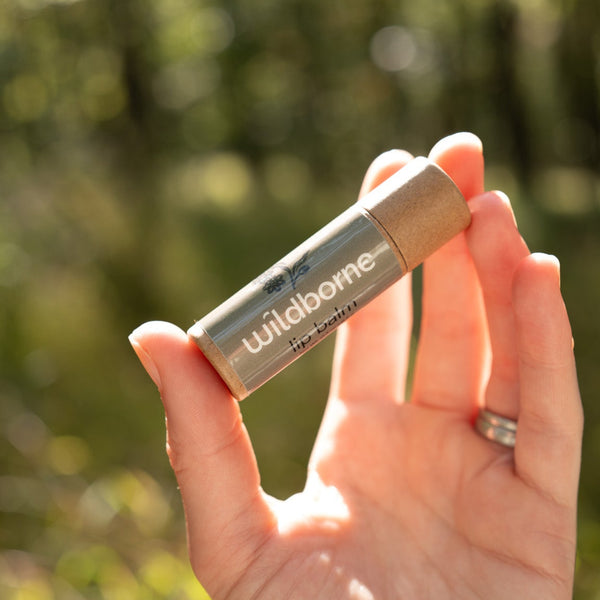 Lip Balm