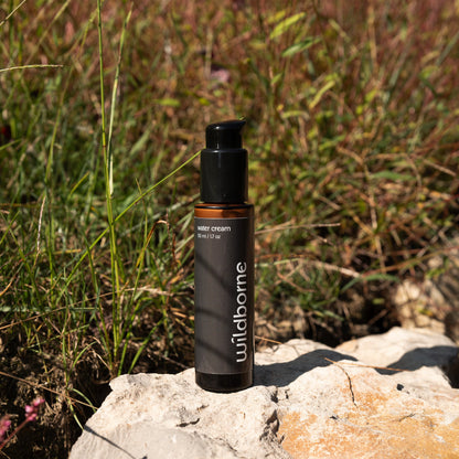 Founders Routine - Restore