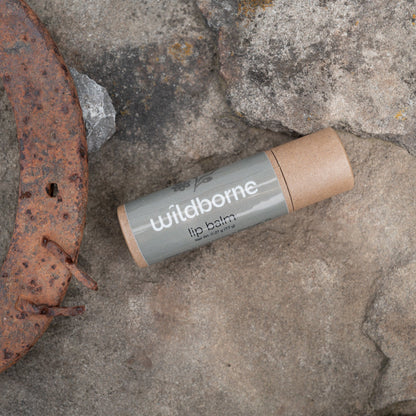 Lip Balm